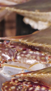美味梭子蟹冬日美食视频