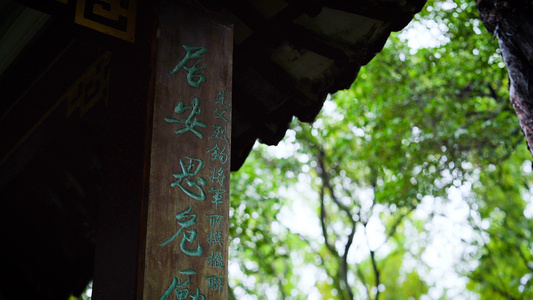 4k雨天寺庙屋檐空镜下雨视频视频