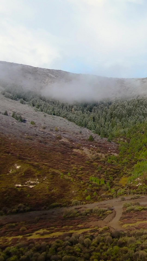 航拍草原湿地雪山视频大自然54秒视频