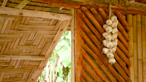 挂在传统亚洲人房屋竹墙上的干大蒜18秒视频
