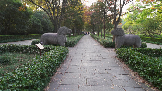 南京明孝陵风景区神道石象路麒麟雕塑视频