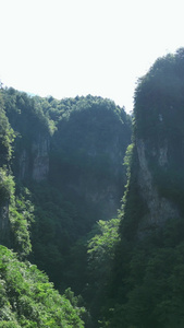 航拍湖北神农架画廊谷景区视频