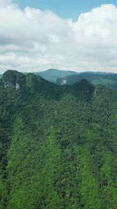 航拍湖北神农架天燕景区彩虹桥视频