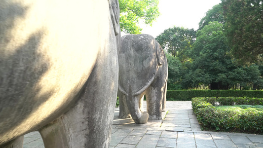 南京明孝陵风景区石象路石象雕塑视频