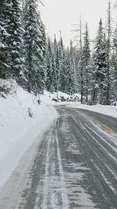 冬日雪地汽车白桦林公路汽车背景视频