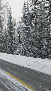 冬日雪地汽车白桦林公路高速公路视频