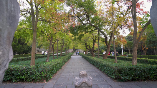 南京明孝陵风景区石象路石象雕塑视频