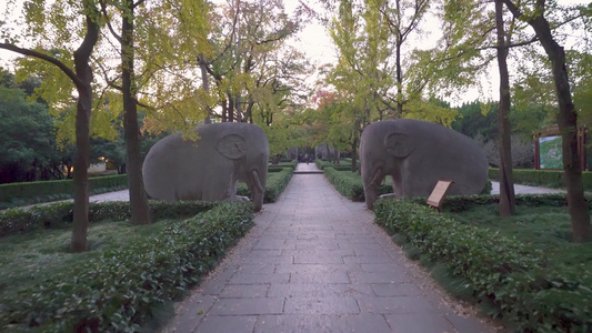 南京明孝陵风景区石象路石象雕塑视频