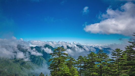 高山云海云雾缭绕延时摄影视频