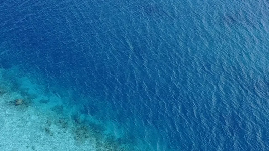 浅环礁湖的豪华岛屿海滩野生生物阳光明媚海浪附近有白色视频