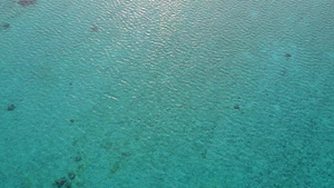 冲浪附近有白色沙质背景的浅水区宁静的海岸线海滩野生动物13秒视频