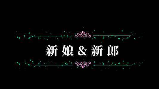 婚礼婚庆花纹字幕条会声会影字幕模板视频