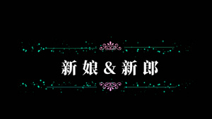 婚礼婚庆花纹字幕条会声会影字幕模板10秒视频