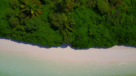 棕榈附近蓝色环礁湖和白色沙滩背景的宁静海滨海滩航行视频