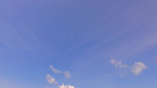 蓝海和沙洲附近白色沙滩背景下异国情调泻湖海滩野生动物视频