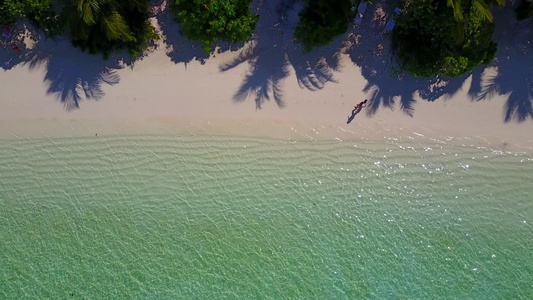 珊瑚附近的绿绿水和浅沙背景阳光明媚的热带海湾海滩生态系统视频