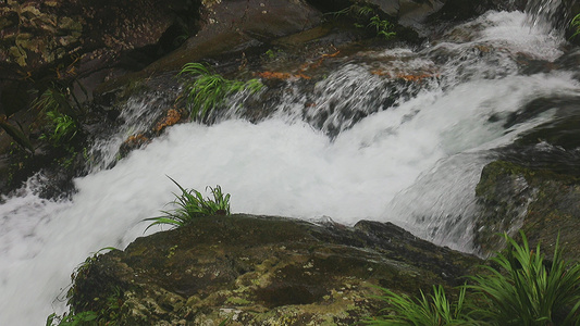 高山溪流视频