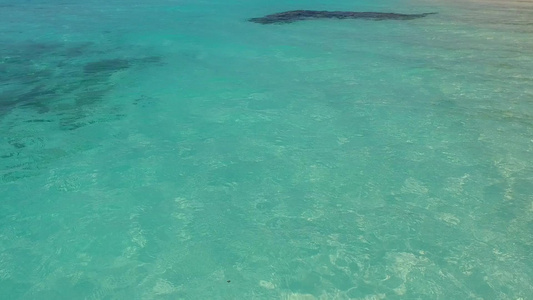 海滨海滩野生生物松绿的环礁湖和棕榈附近的白沙背景视频