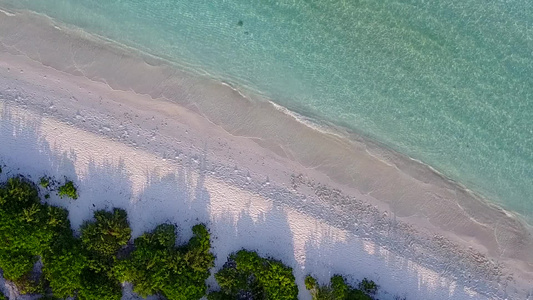 沙洲附近蓝绿海和白沙背景的热带海景海滩野生动物夏日视频