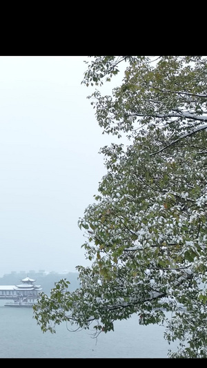 雪景长沙烈士公园年嘉湖古桥61秒视频