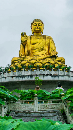 实拍素材华岩寺大佛宣传片12秒视频