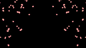 浪漫花瓣雨边框带透明通道30秒视频