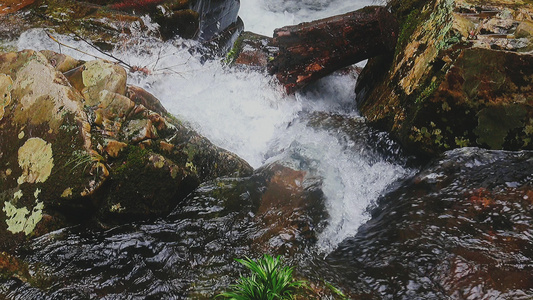 高山溪流奔腾不息视频