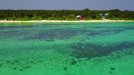 阳光明媚的异国情调海景海滩野生动物景观清澈的海洋与视频