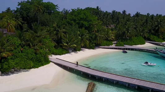 海滨海滩由蓝水和棕榈附近白沙背景的蓝海旅行的阳光景象视频