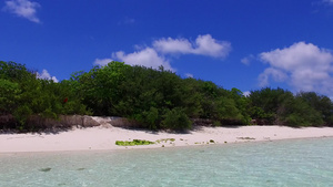 蓝海和棕榈附近白沙底的淡海和白沙地背景12秒视频