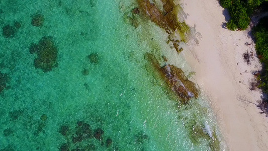 天堂度假度假胜地海滩假日的浪漫纹理由环礁附近松绿的视频