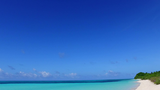 以蓝海和珊瑚礁附近的白沙背景为蓝海看海滩野生生物的视频