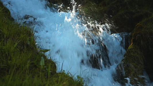 森林溪流瀑布视频