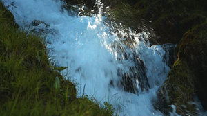 森林溪流瀑布33秒视频