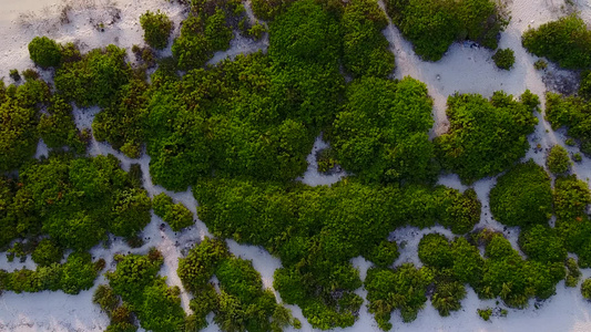 棕榈附近浅环礁湖和白沙底背景的伊德利海湾海滩游空旅游视频