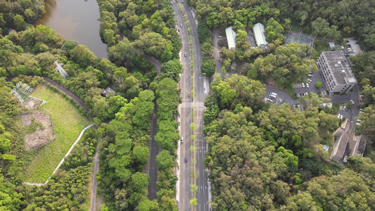 林间公路航拍视频