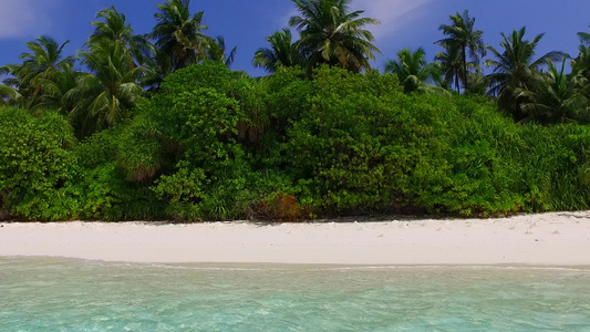 蓝环礁棕榈附近有清洁沙土背景的蓝环礁在白天纹理伊德利视频