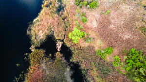 乌黑德涅伯河上的野生生物23秒视频