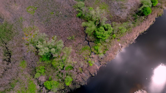 在德尼佩尔河上的小型野生岛屿上移动视频