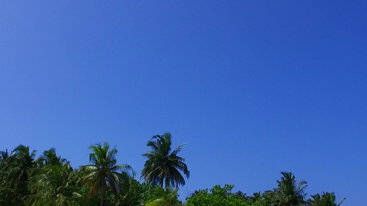 在棕榈树附近有白色沙滩背景的蓝色泻湖复制异国情调的视频