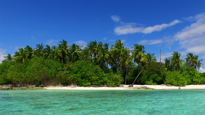 海滨海滨海滩出海的宽角性质海棕榈附近有白沙背景的深蓝12秒视频