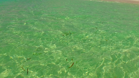 海滨海滩生活方式的宽角天空蓝水棕榈附近有干净的沙土视频