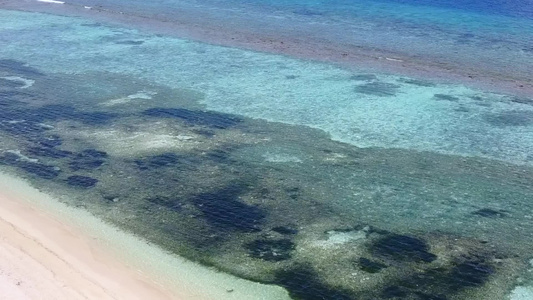 外来海湾海滩野生生物经浅海在珊瑚礁附近有白色沙子背景视频