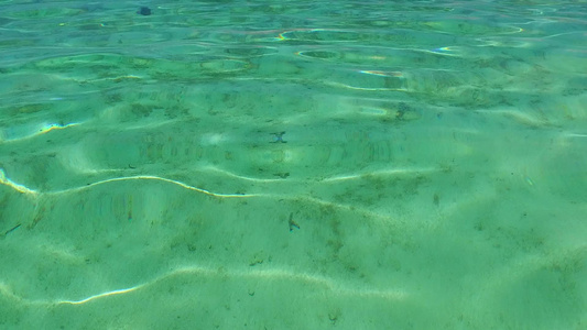 阳光明媚的海洋环礁湖海滩冲浪附近有白沙背景的清海视频