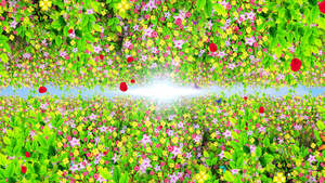 4K唯美的花卉背景素材30秒视频