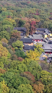 南京灵谷寺古建筑秋季风光钟山风景区视频