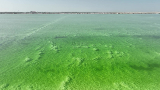 4K航拍察尔汗盐湖的绿色盐田视频