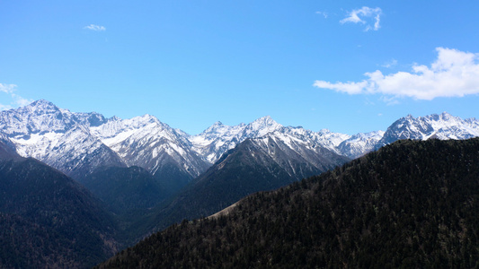 4k实拍四姑娘山蓝天白云雪山森林视频