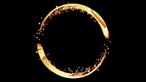 圆环相框粒子遮罩动画AE元素14秒视频