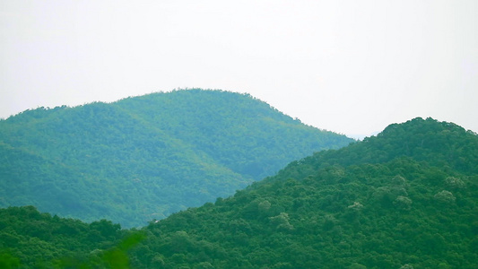 跨越山上和海上的绿树和森林视频